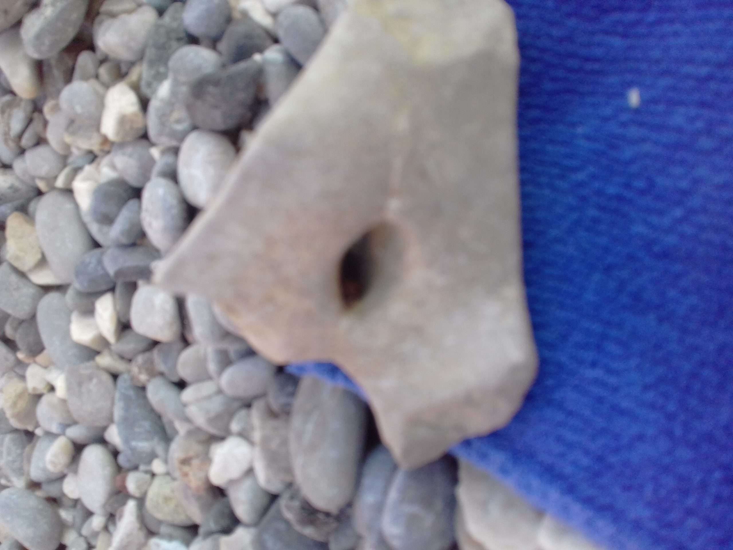 Prašina si dal ti reko’