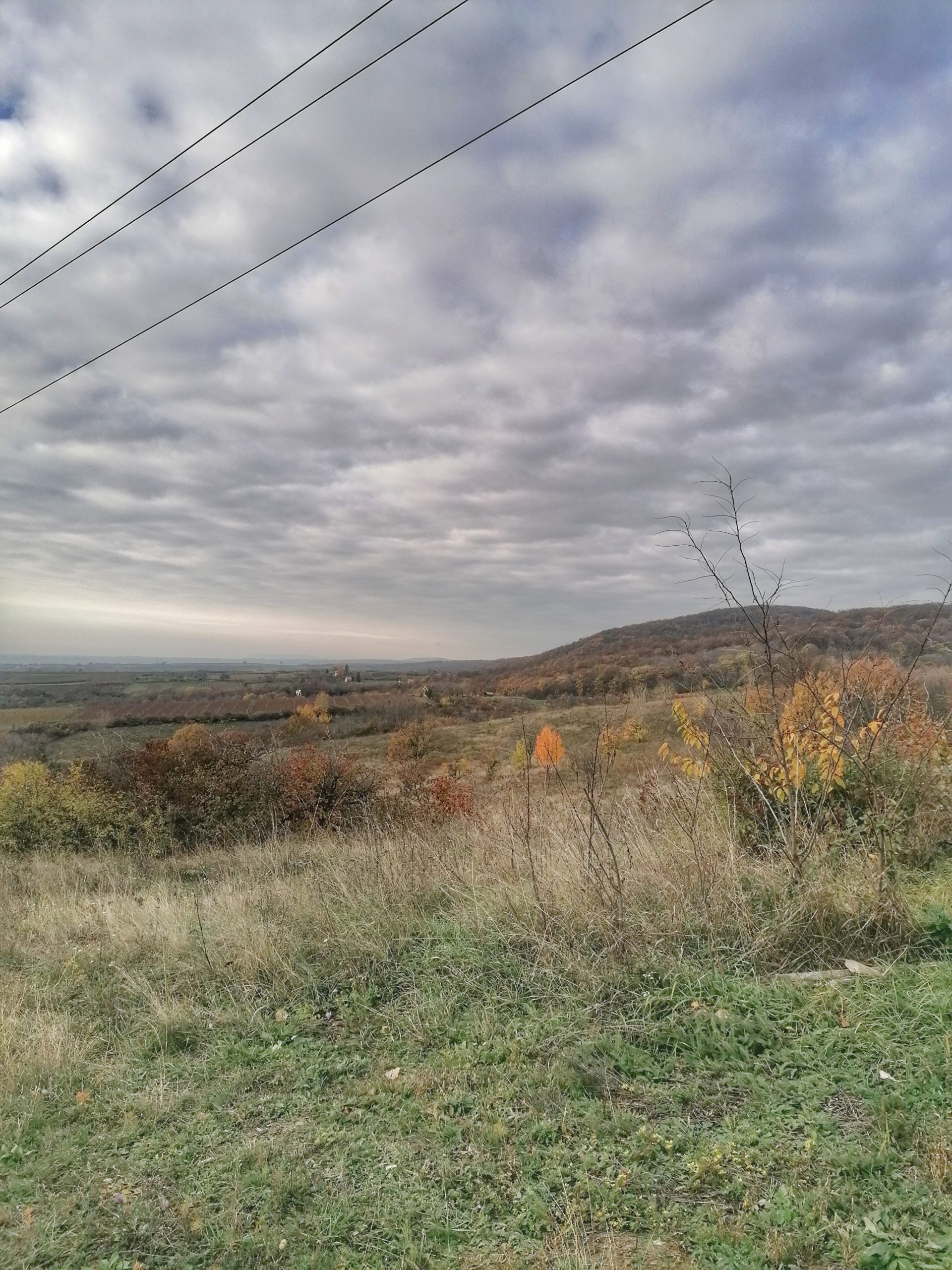 Najstariji dragulj među nacionalnim parkovima