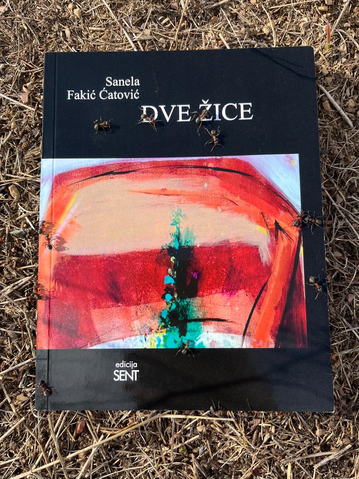 inbound6992640302820264845