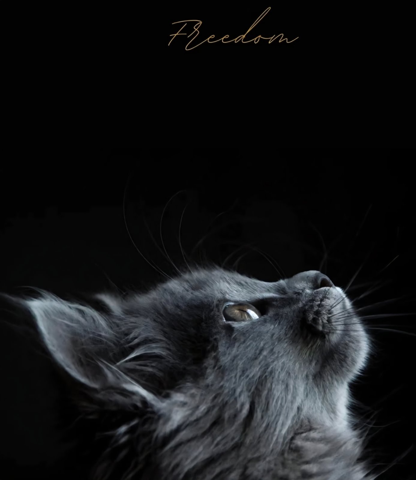 SAMO SE NA SEBE OSLONITI MOŽEŠ