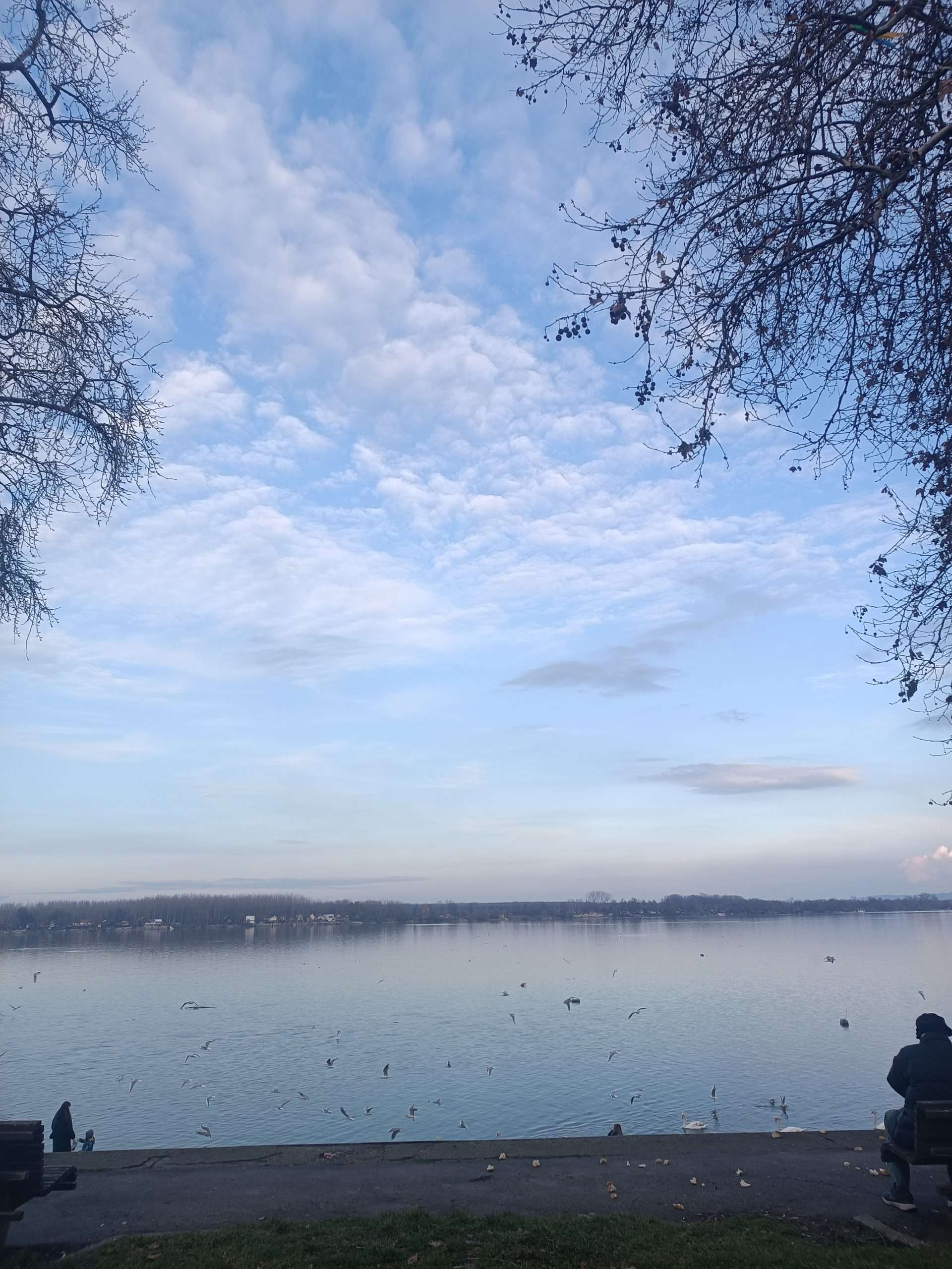 Dunav sa tim nema nikakve veze