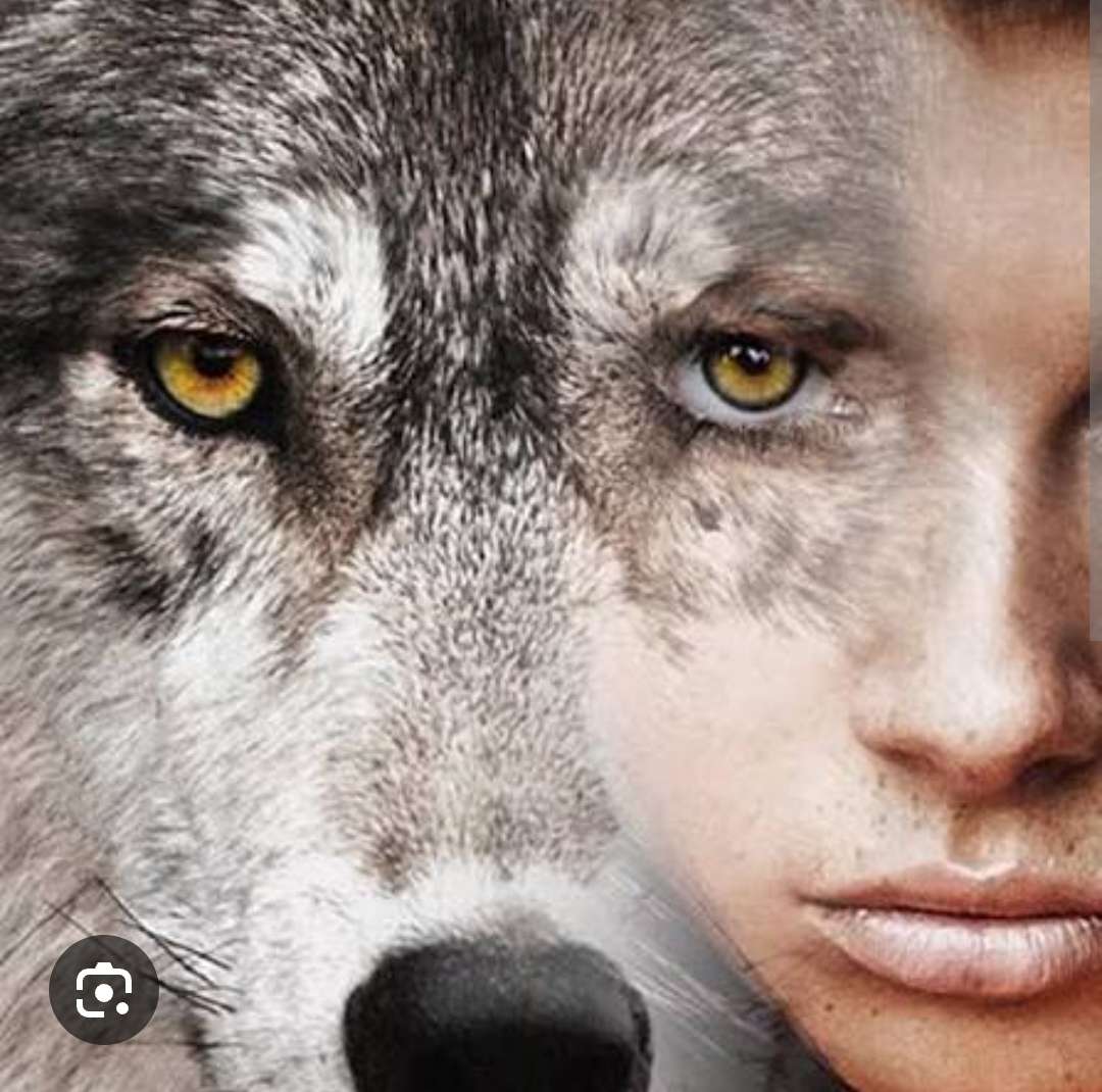 Screenshot_20260217_101654 Screenshot_20260217_101654