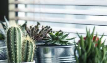 Ruke su htele da te dodirnu