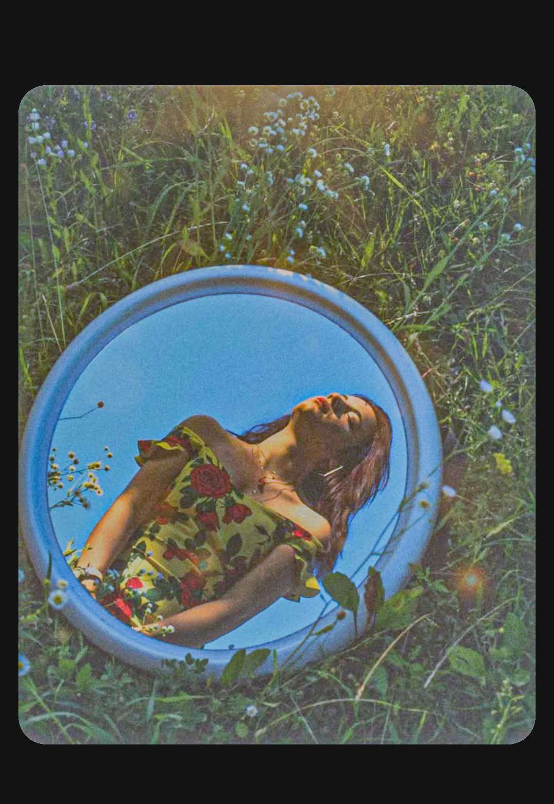 U šumi bezbroj malih neistina.