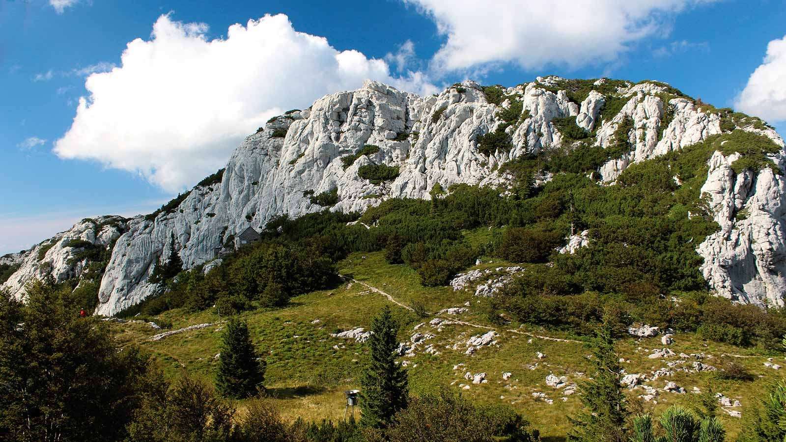 POKAJANJE