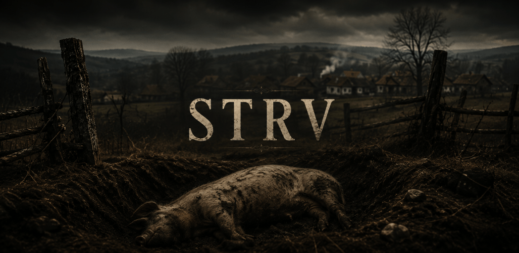 Strv