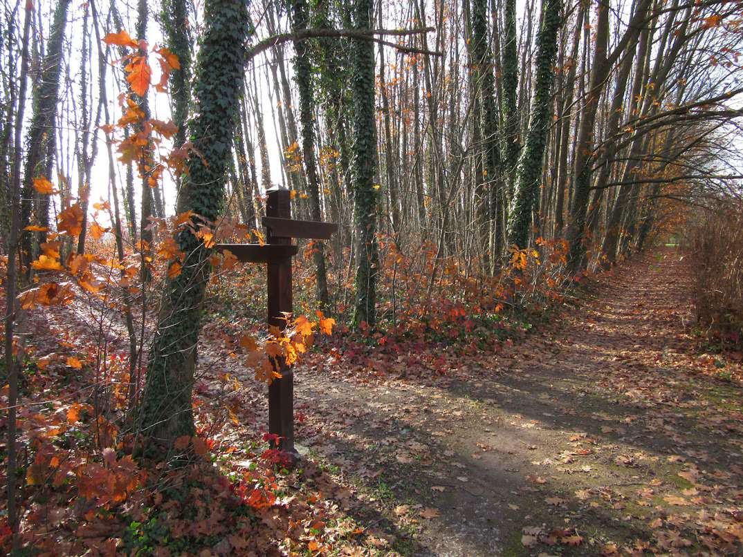 Taština