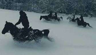 TRIFUN